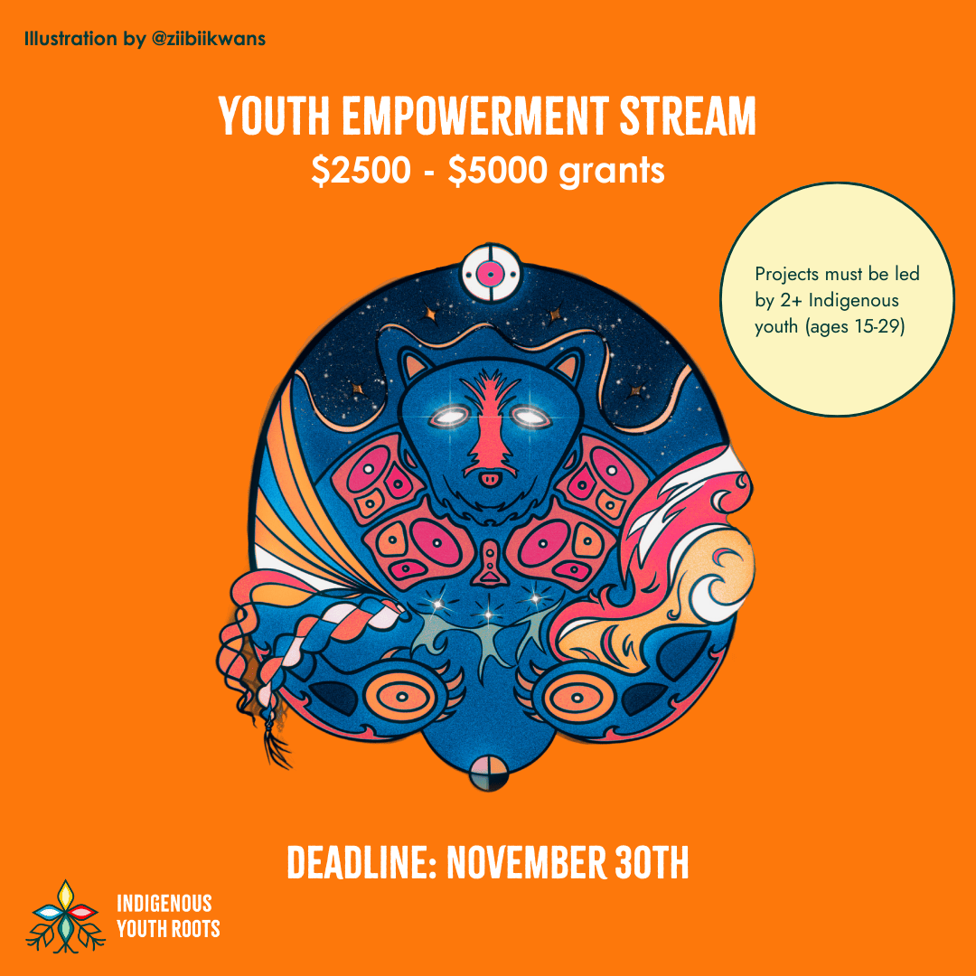 Youth Empowerment Stream poster. Beautiful logo designed by @ziibiikwans