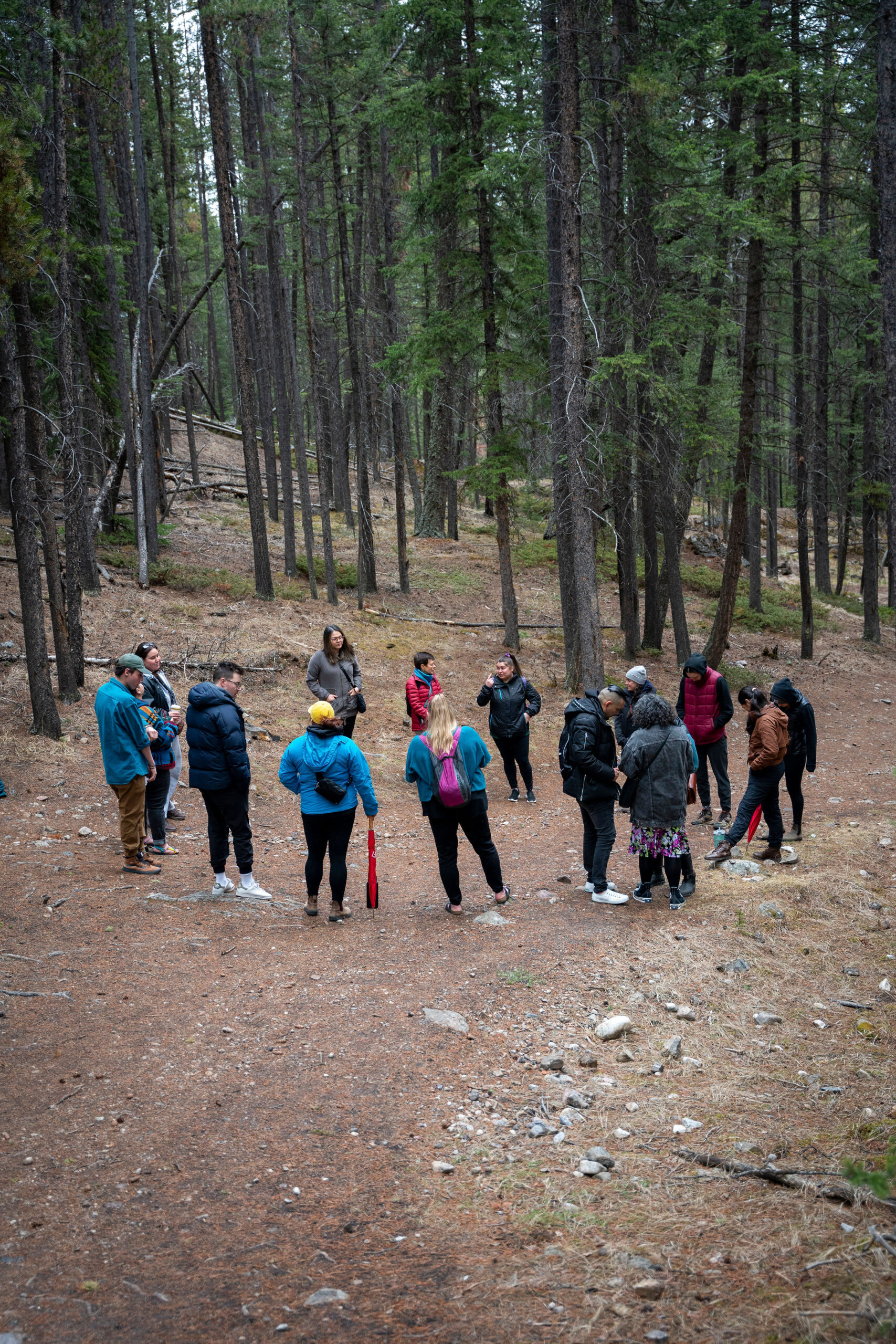 A group of youth stand in a circle in the forest with their back facing the camera