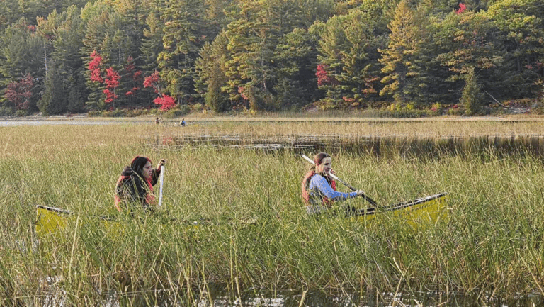 Two youth canoeing
